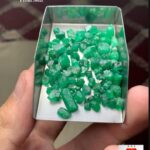 53.17 Carat Swat Emerald Rough Lot – Natural Gemstone from Pakistan