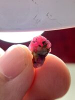 4.95ct Natural Ruby Specimen from Afghanistan – Rare Collector’s Stone (12.61×8.03×5.95mm) - Image 3