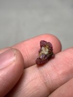 4.95ct Natural Ruby Specimen from Afghanistan – Rare Collector’s Stone (12.61×8.03×5.95mm) - Image 6