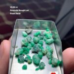 A Remarkable 33.69 ct Emerald Rough Lot from Swat