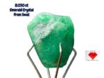 8.03ct Swat Emerald Crystal: Natural Untreated Gemstone