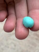 Elegant and Earthy — 7.90 ct Afghan Turquoise Cabochon - Image 3