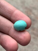 Elegant and Earthy — 7.90 ct Afghan Turquoise Cabochon - Image 4