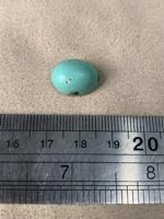 Elegant and Earthy — 7.90 ct Afghan Turquoise Cabochon - Image 8