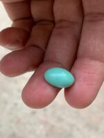Sleek and Striking: 4.80 ct Afghan Turquoise Cabochon - Image 2