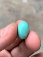 Sleek and Striking: 4.80 ct Afghan Turquoise Cabochon - Image 7