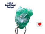 2.645 ct Swat Emerald Crystal – Small in Size, Rich in Color and Energy