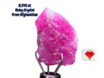 8.345ct Afghan Ruby Crystal – Natural Vivid Red Gemstone