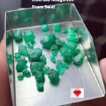 Swat Emerald Treasure: 25.49ct Emerald Rough Lot (8.24 × 6.47 × 5.83 mm)