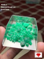 45.60 Carat Swat Valley Emerald Rough Lot – Nature’s Untouched Masterpiece