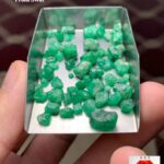 53.15 Carat Swat Emerald Rough Lot – Natural Pakistani Emerald (11.15 × 6.62 × 6.42 mm)