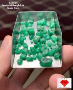 53.15 Carat Swat Emerald Rough Lot – Natural Pakistani Emerald (11.15 × 6.62 × 6.42 mm)