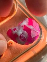 2885.5 ct Rough Ruby from Afghanistan - Image 10