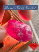 2885.5 ct Rough Ruby from Afghanistan - Image 14