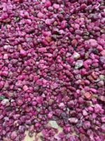 Beautiful 10050 ct Rough Ruby from Afghanistan - Image 4