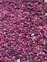 Beautiful 10050 ct Rough Ruby from Afghanistan - Image 8