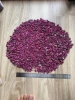 Beautiful 10050 ct Rough Ruby from Afghanistan - Image 7