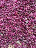 Beautiful 10050 ct Rough Ruby from Afghanistan - Image 2