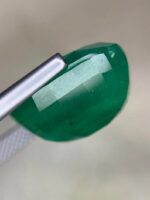 AIG Certified Minor Oil 12.59 CT Emerald from Zambia - Image 6