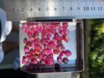 130 ct Afghan Ruby Rough Lot – Red Crystals with Natural Beauty & Form - Image 11