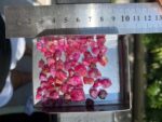 130 ct Afghan Ruby Rough Lot – Red Crystals with Natural Beauty & Form - Image 12