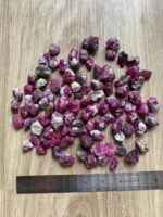 2885.5 ct Rough Ruby from Afghanistan - Image 8