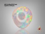 AIG Certified Giant 81.51 Carat Opal from Ethiopia