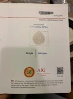 AIG Certified Giant 81.51 Carat Opal from Ethiopia - Image 13