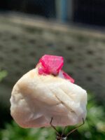 Beautiful 82.3 ct Ruby Specimen from Afghanistan - Image 6