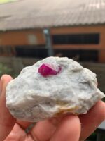 Giant Beautiful 720 ct Ruby Specimen from Afghanistan - Image 11
