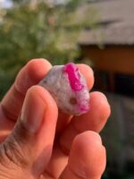 54 ct Ruby Specimen from Afghanistan - Image 2