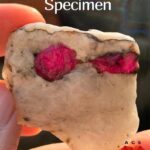 82 ct Natural Afghan Ruby Specimen – Alien-Like Twin Crystal