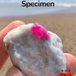 226 ct Beautiful Ruby Specimen from Afghanistan