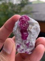260 carat Ruby Specimen from Afghanistan - Image 2
