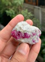 260 carat Ruby Specimen from Afghanistan - Image 6