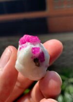 Pinky 90 ct Ruby Specimen from Afghanistan - Image 3
