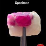 40 ct Ruby Specimen from Afghanistan
