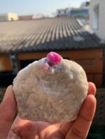 Giant Beautiful 2130 ct Ruby Specimen from Afghanistan - Image 4
