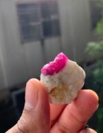 80 ct Natural Afghan Ruby Specimen - Image 10