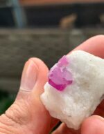 68 Carat Natural Afghan Ruby Crystal Specimen on Matrix - Image 7