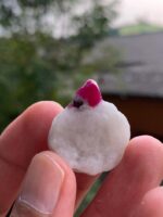 38 carat Beautiful Ruby Specimen from Afghanistan - Image 2