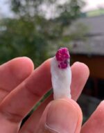 38 carat Beautiful Ruby Specimen from Afghanistan - Image 4