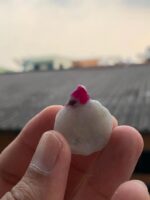 38 carat Beautiful Ruby Specimen from Afghanistan - Image 7