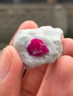 Beautiful Red 69 ct Ruby Specimen from Afghanistan - Image 11