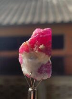 37.2 Carat Natural Ruby Crystal Specimen – Afghanistan | Display Piece - Image 6