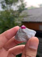 76 carat Ruby Specimen from Afghanistan - Image 6