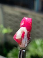 21.13 ct Beautiful Ruby Specimen from Afghanistan - Image 4