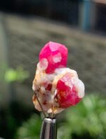 21.13 ct Beautiful Ruby Specimen from Afghanistan - Image 5