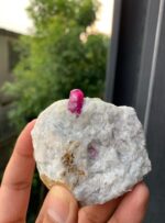 Red 745 ct Ruby Specimen from Afghanistan - Image 7