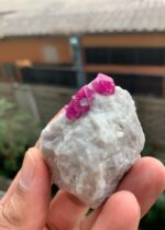 395 ct Ruby Specimen from Afghanistan - Image 8